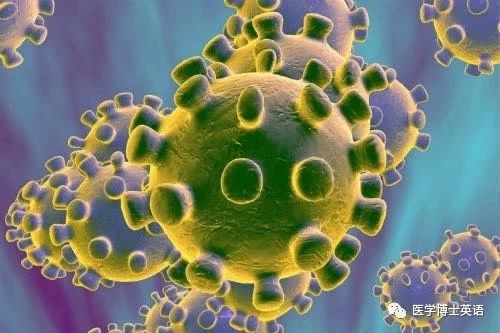 What is a coronavirus?